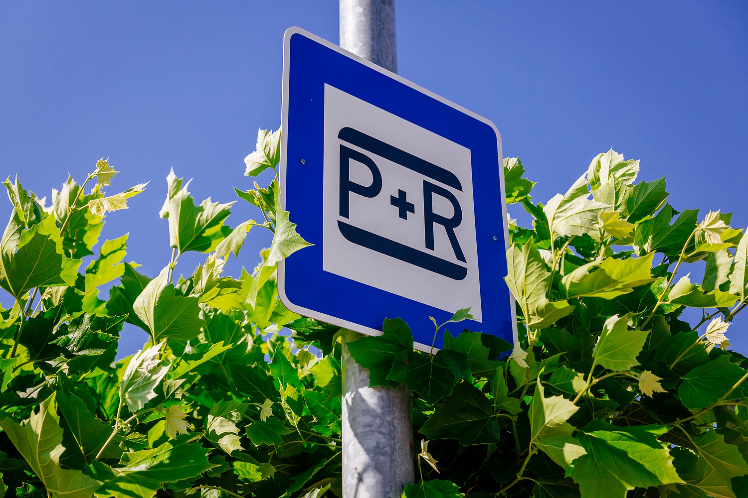 Hinweisschild P+R-Platz