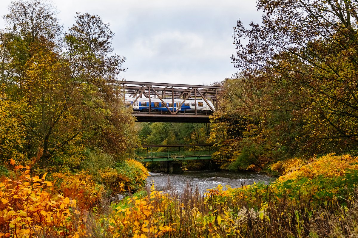 Das Bild zeigt einen Zug der RB 48 auf einer Brücke zwischen Leichlingen und Opladen (© go.Rheinland / Smilla Dankert) Das Bild zeigt einen Zug der RB 48 auf einer Brücke zwischen Leichlingen und Opladen (© go.Rheinland / Smilla Dankert)